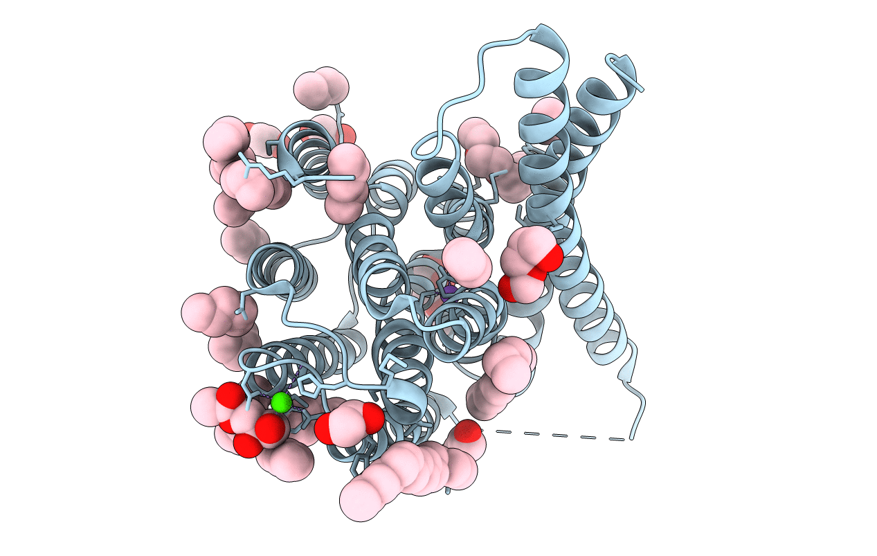 5JDG image