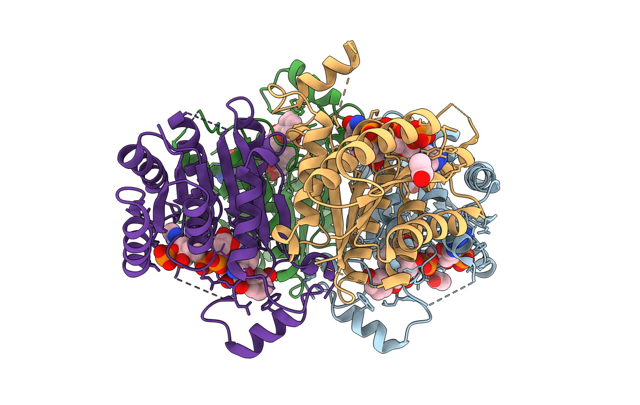 5JDI image