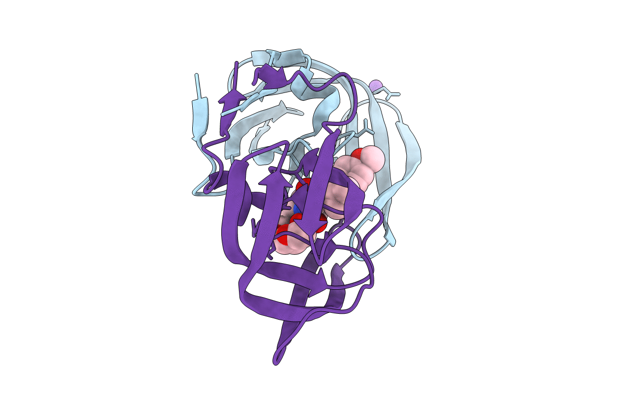 5JFP image