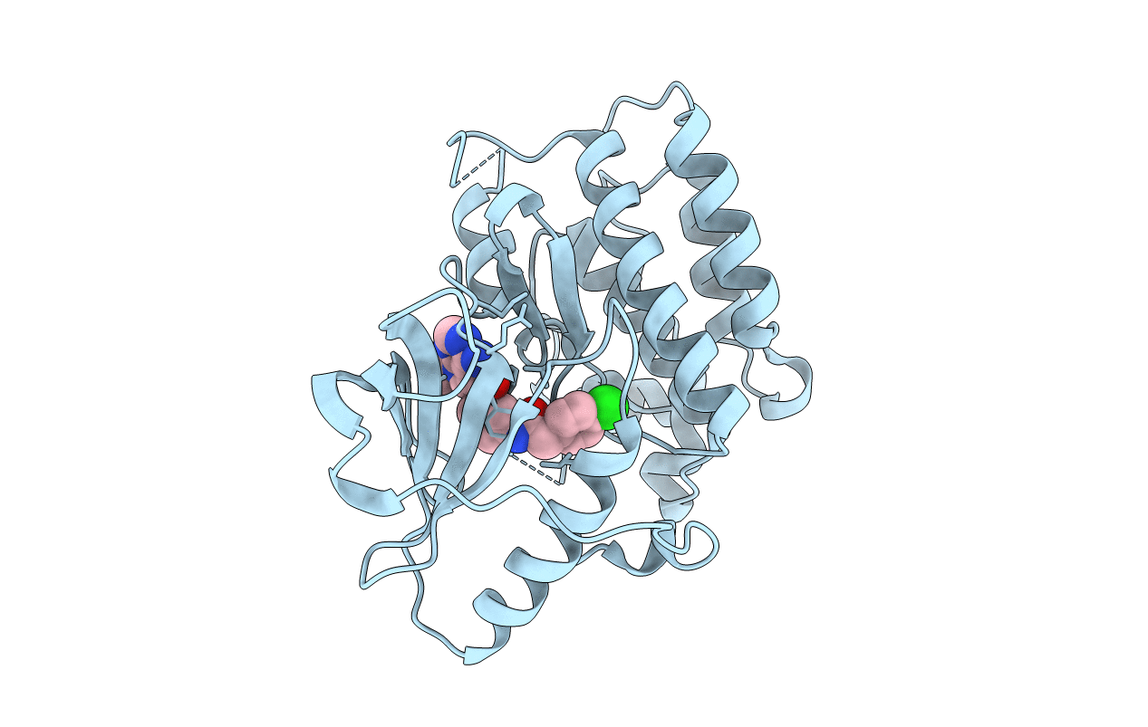 5JFV image