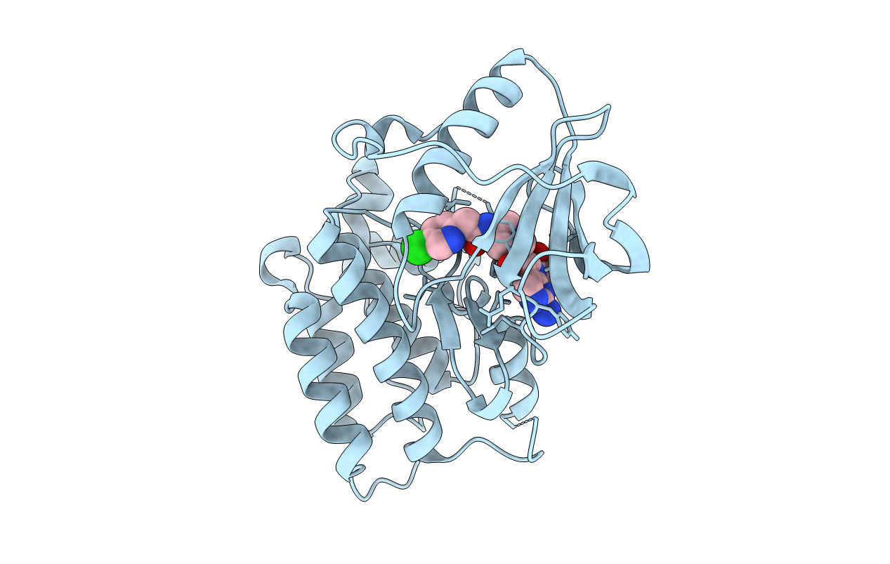5JFX image