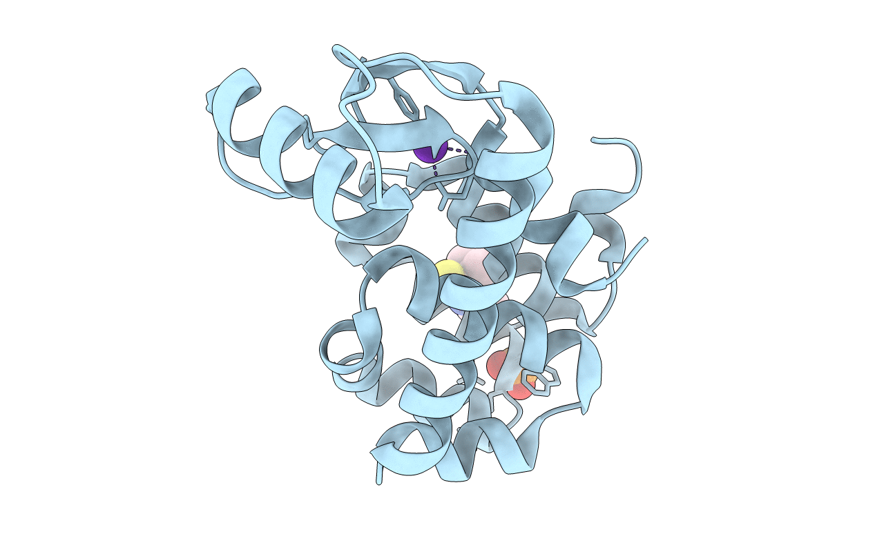 5JGX image