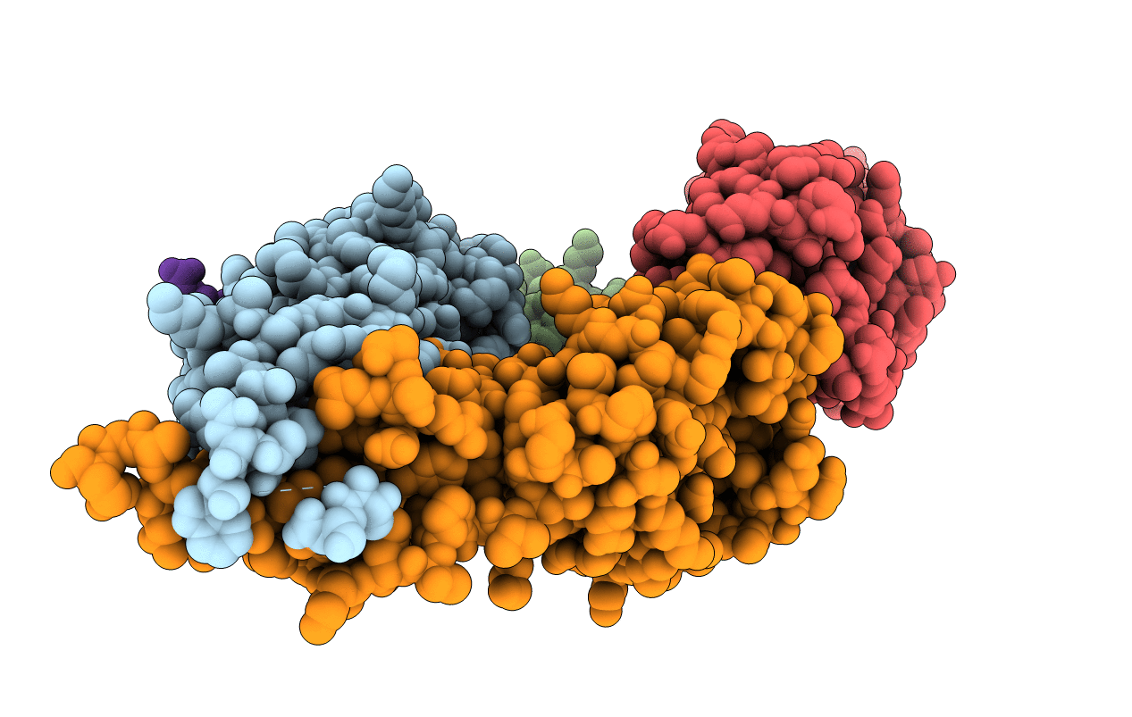 5JHP image