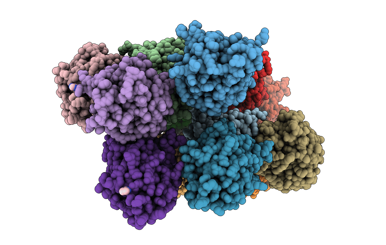 5JIA image