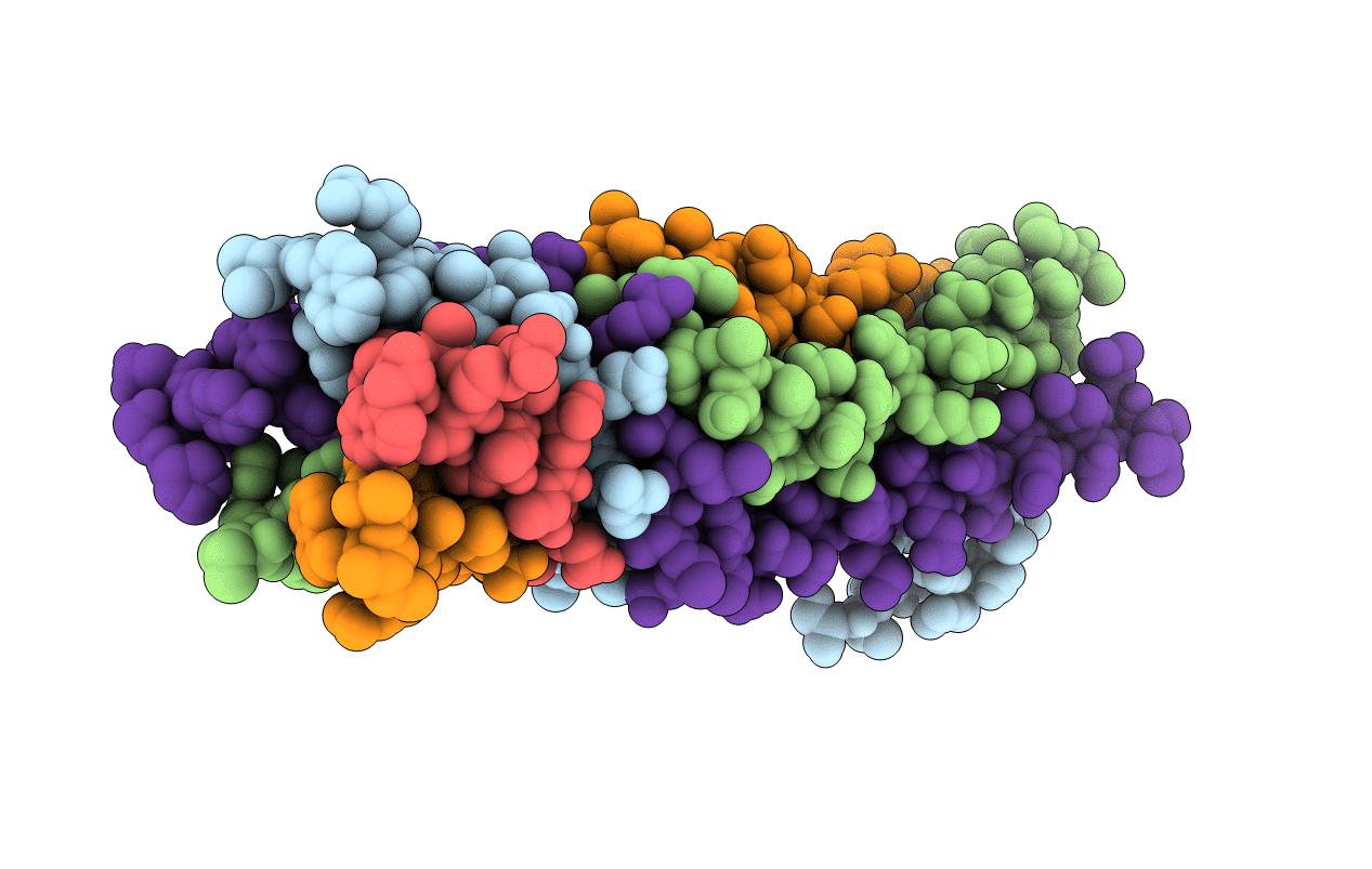 5JIE image