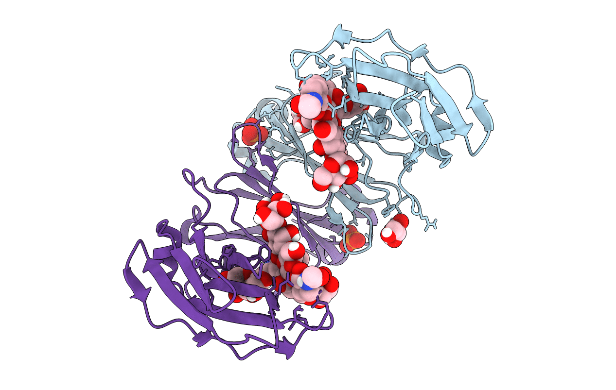 5JII image