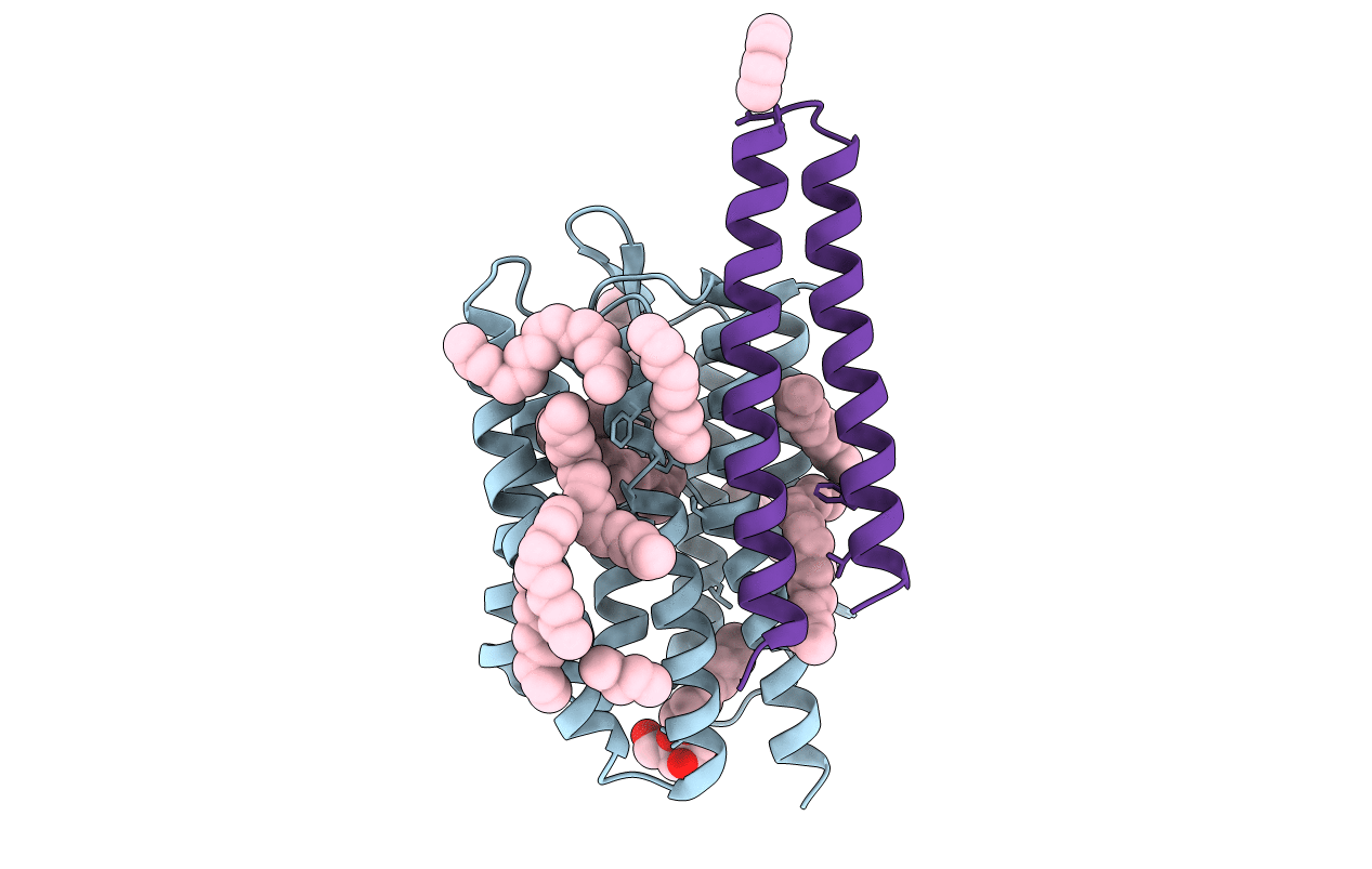 5JJF image