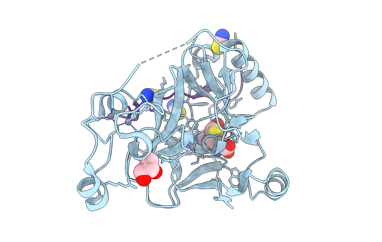 5JLB image