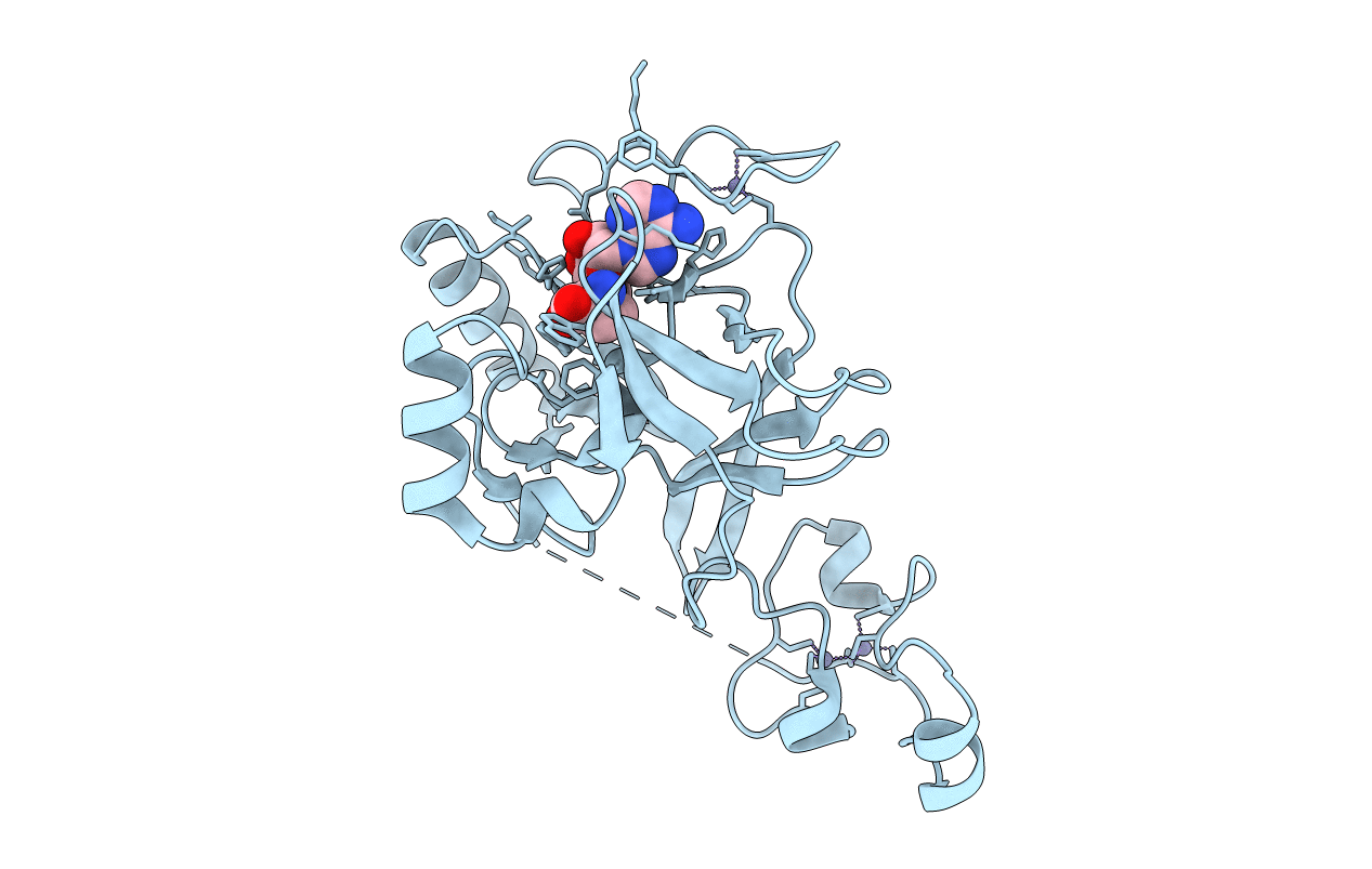 5JLE image