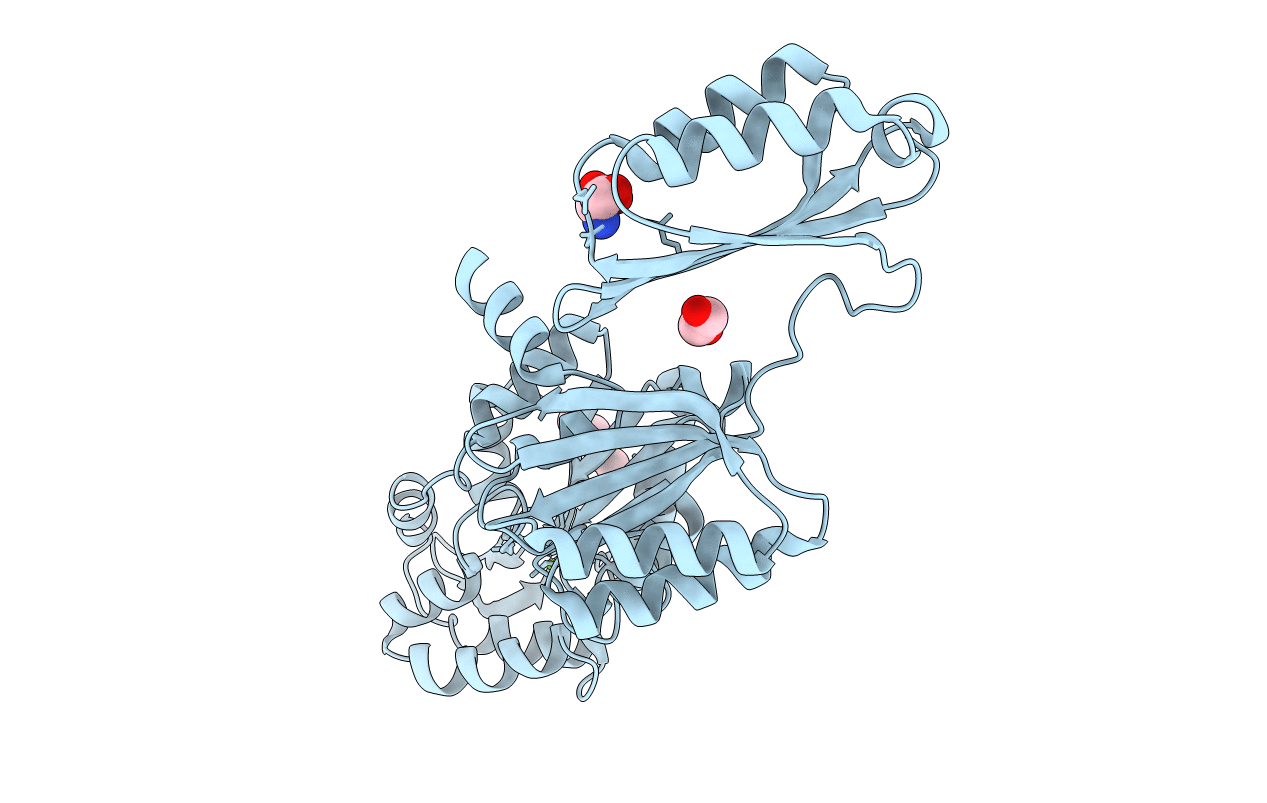 5JLP image