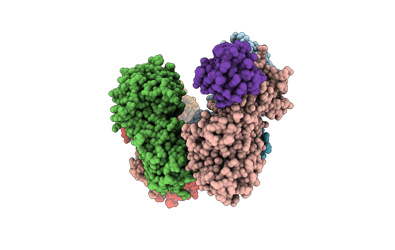 5JMC image