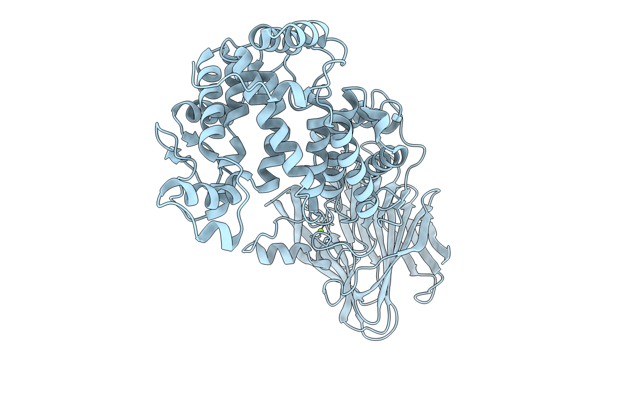 5JMD image