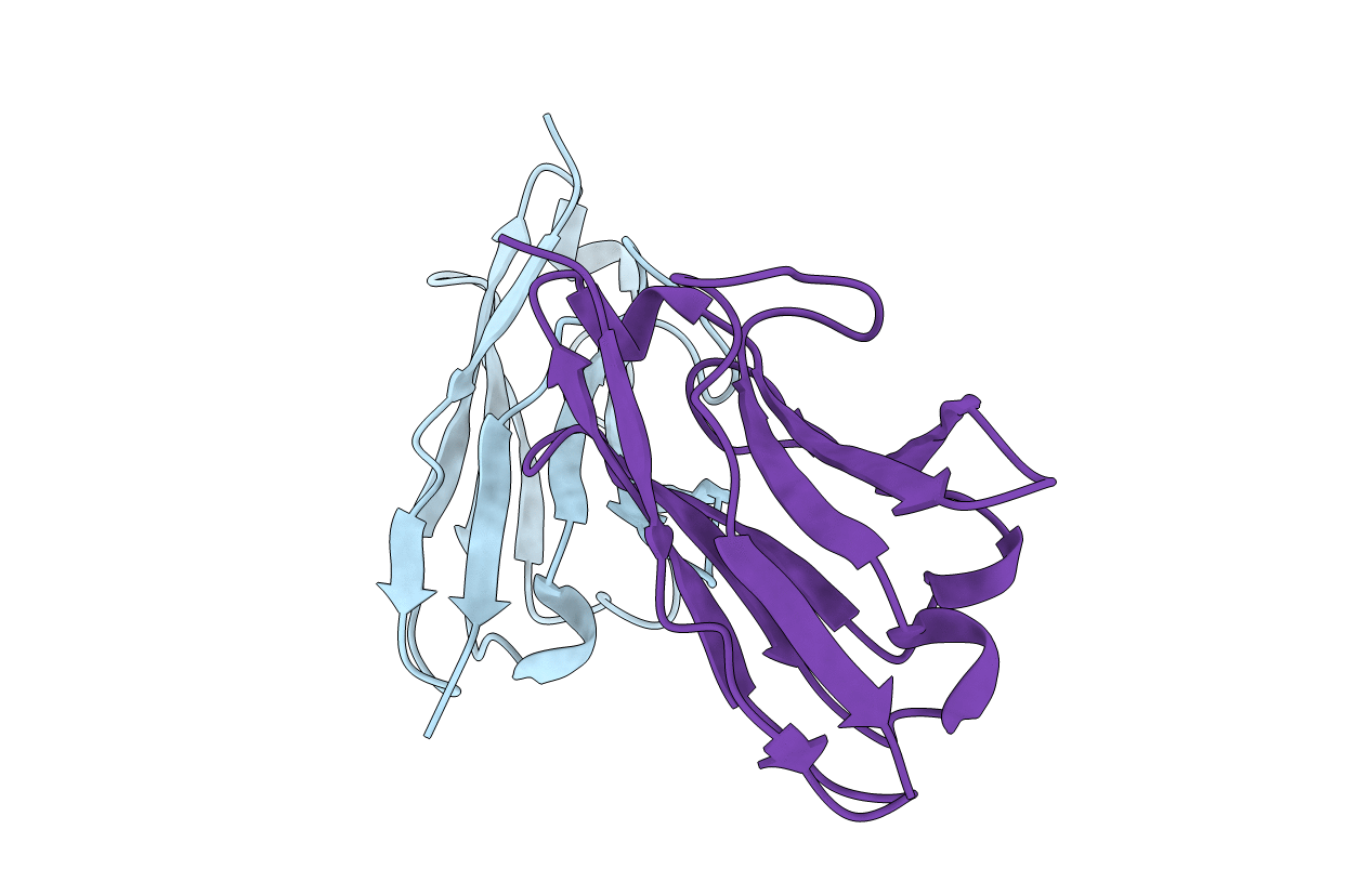5JMR image