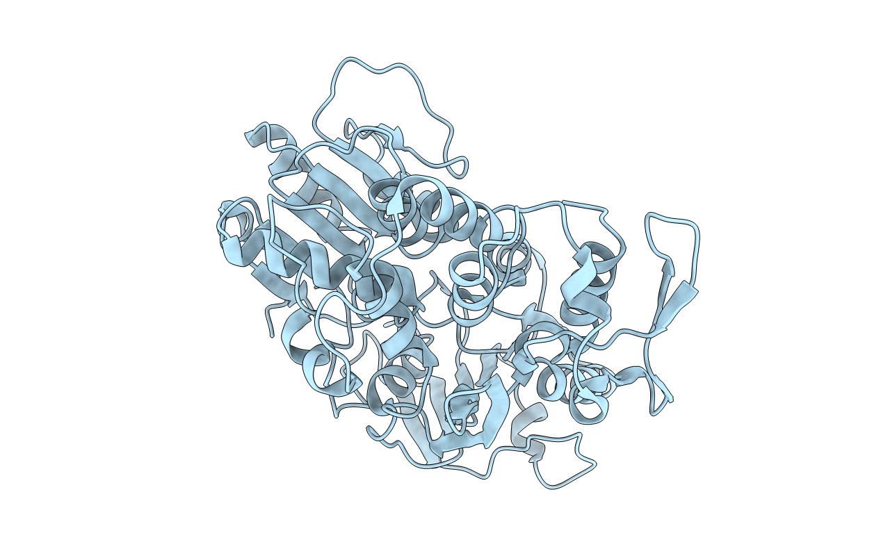 5JMT image