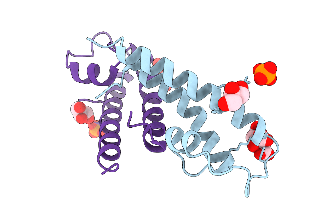 5JNP image