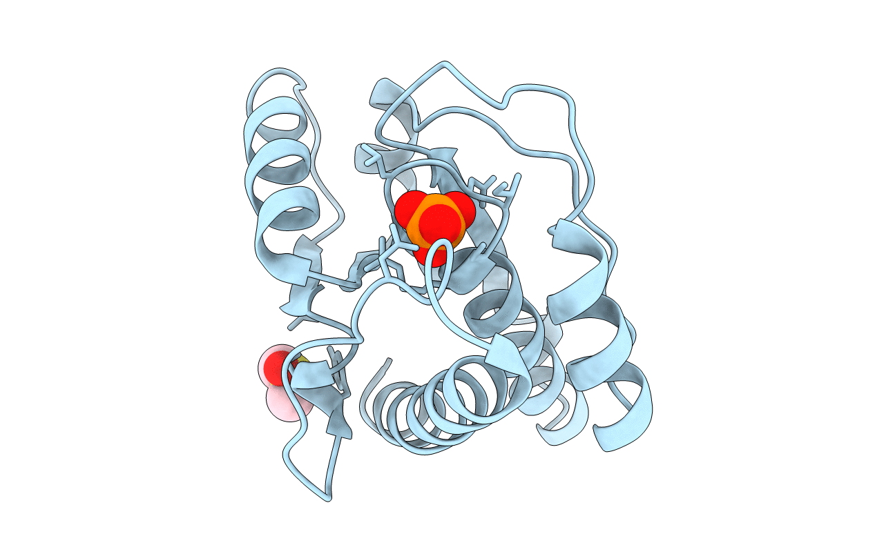 5JNS image