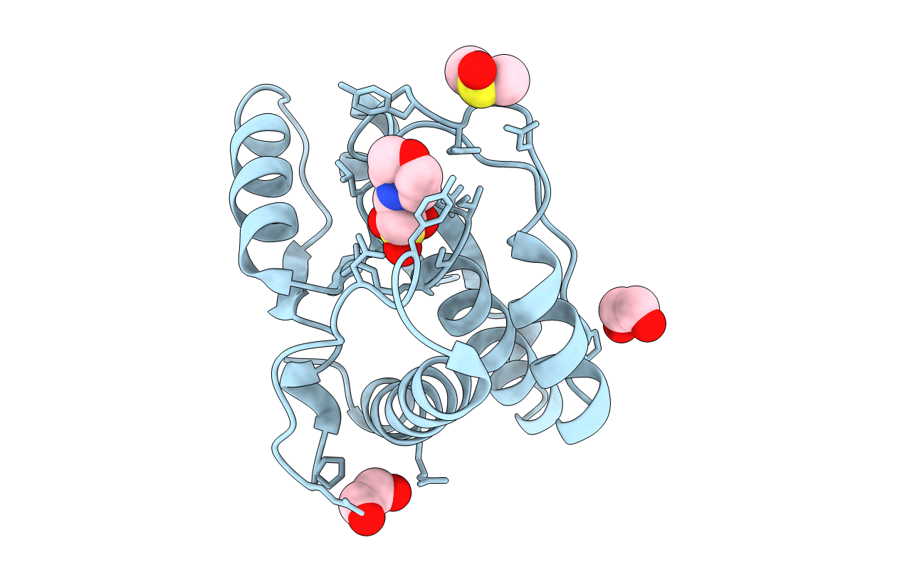 5JNT image