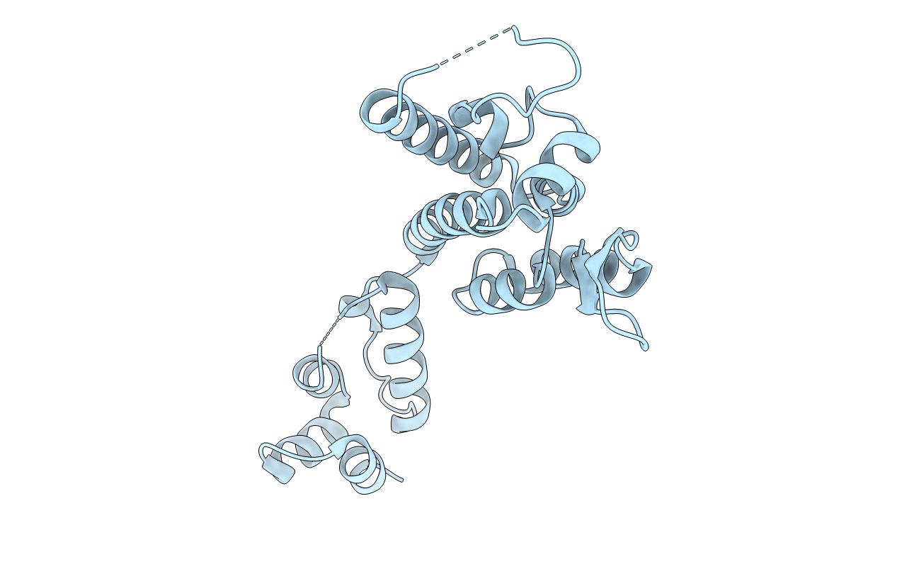 5JPA image