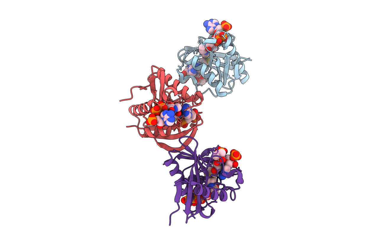 5JPH image