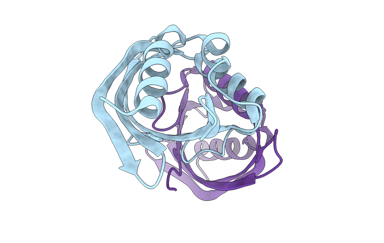 5JPP image