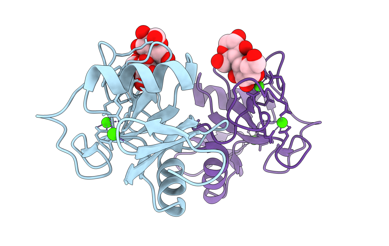5JPV image