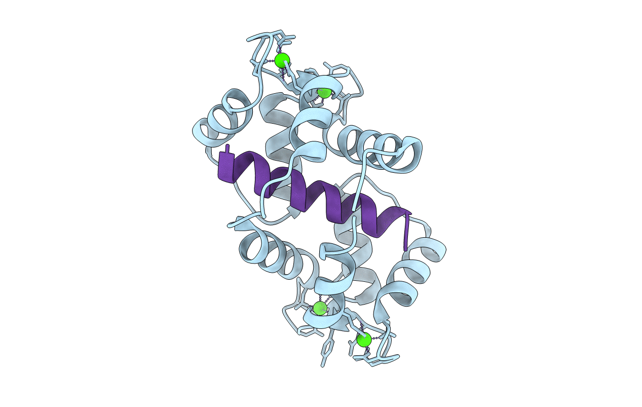 5JQA image