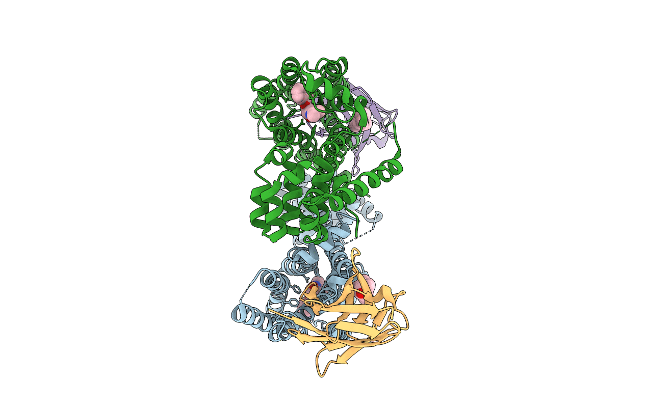 5JQH image