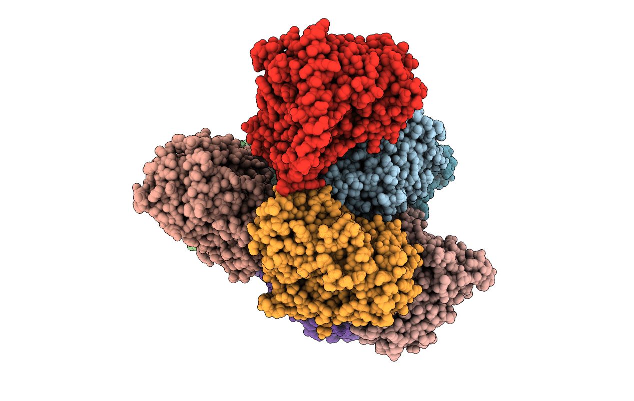 5JQU image