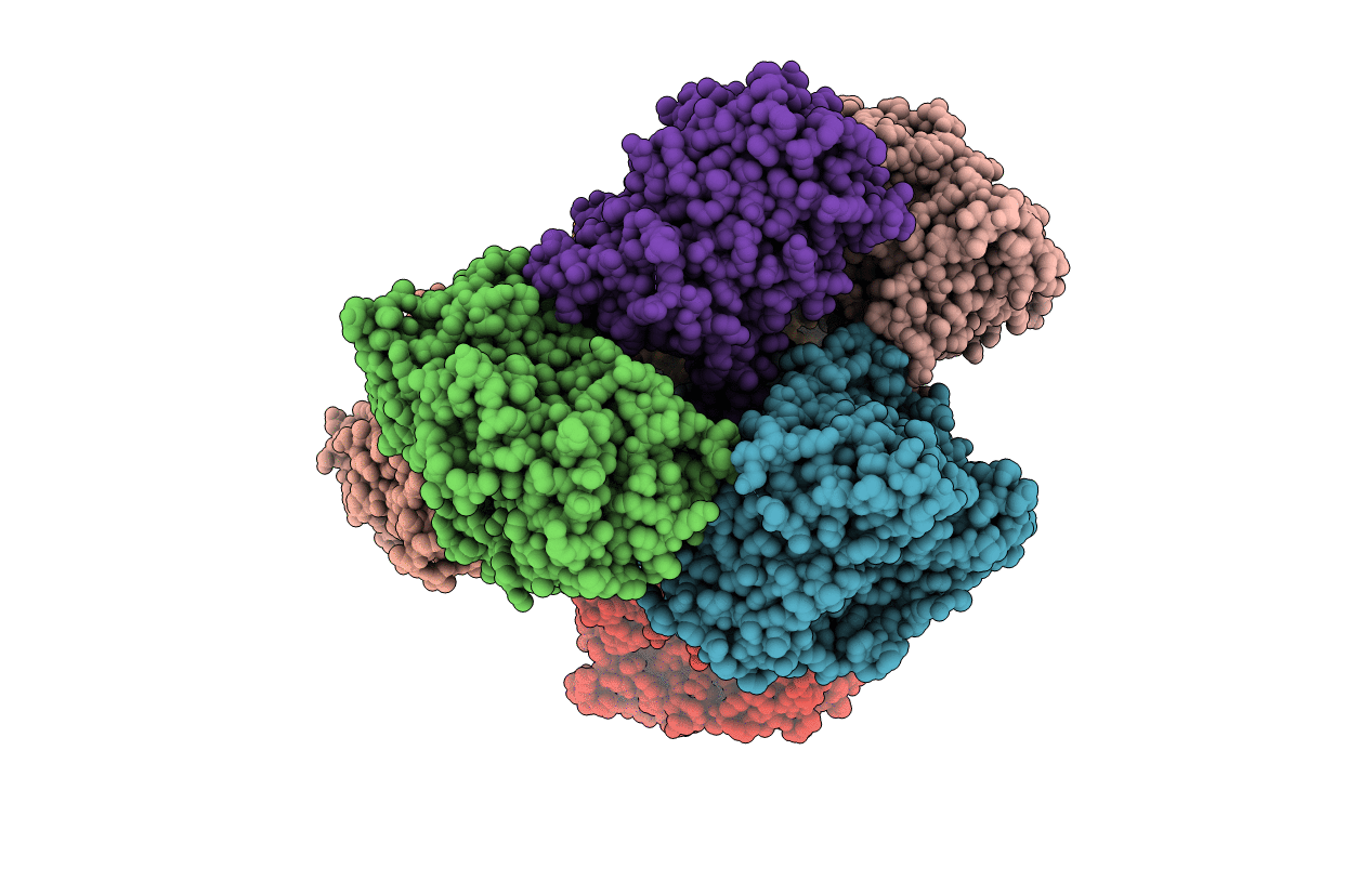 5JQV image