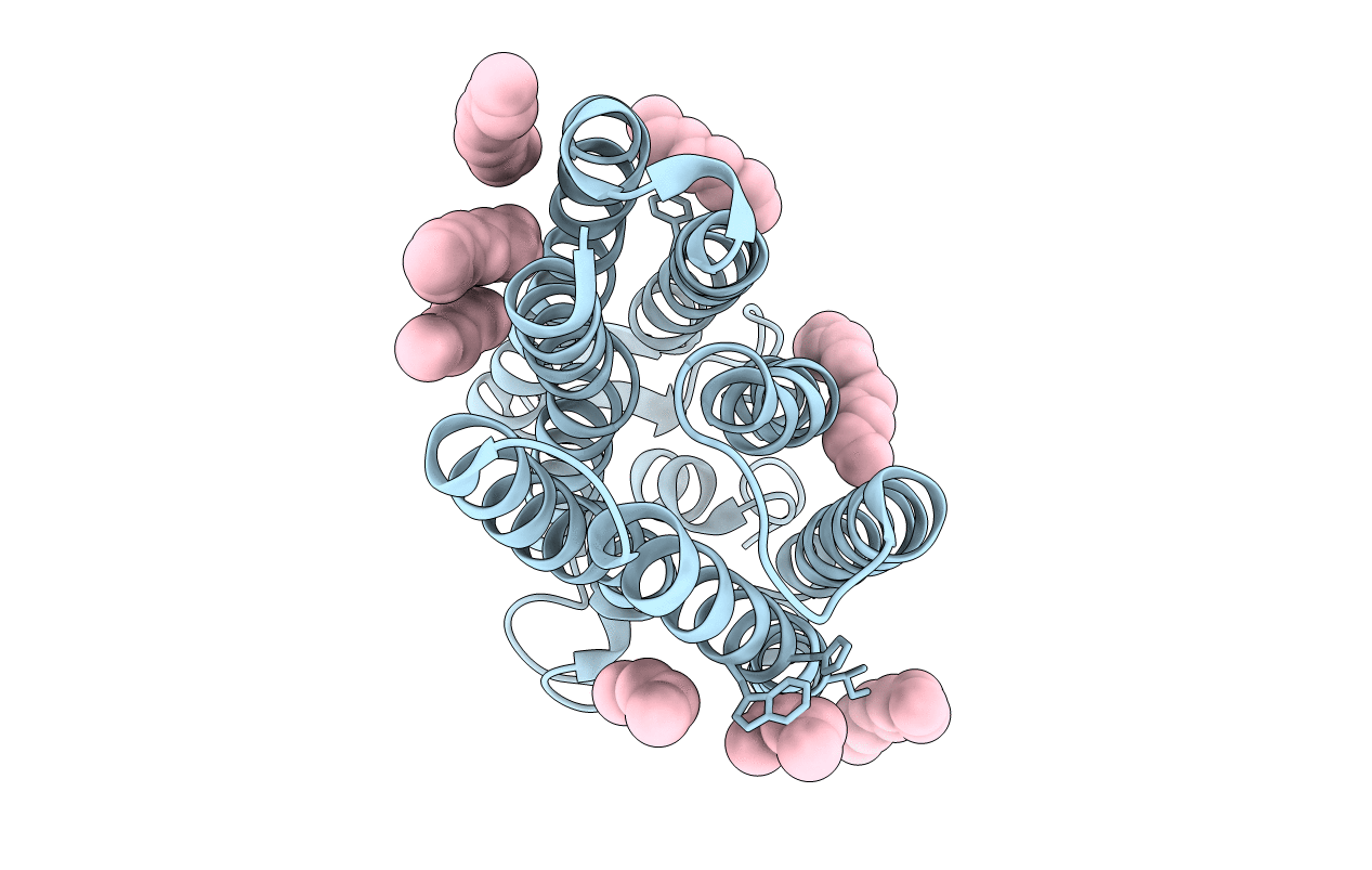 5JRF image