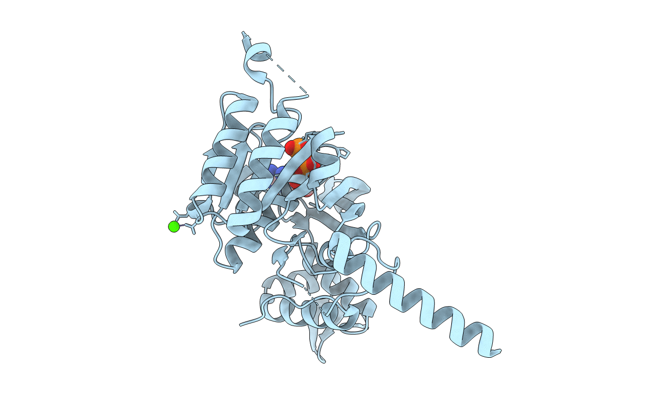 5JRJ image