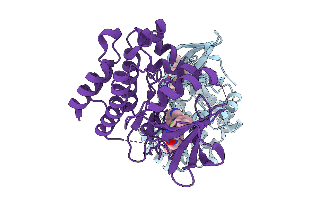 5JRS image