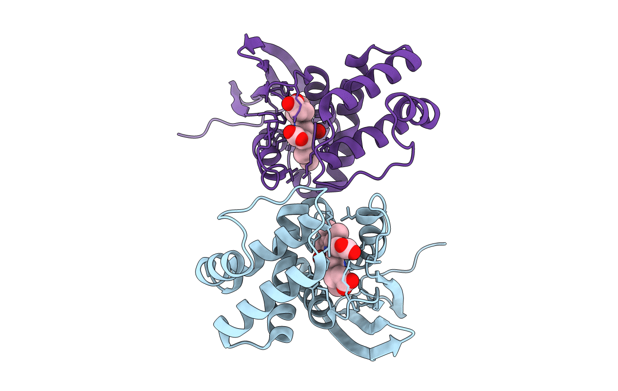 5JRV image