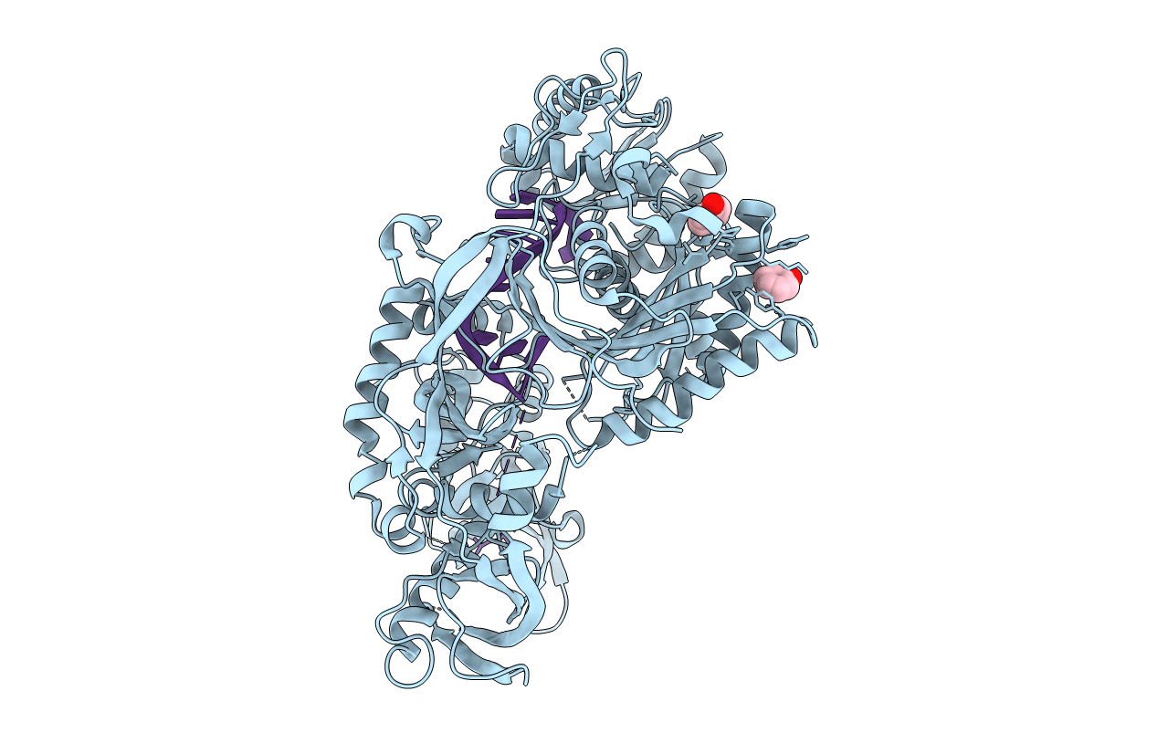 5JS1 image