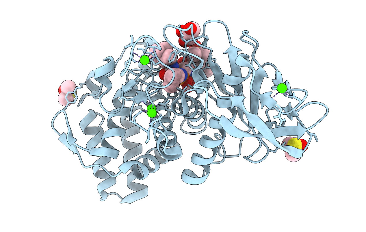 5JS3 image
