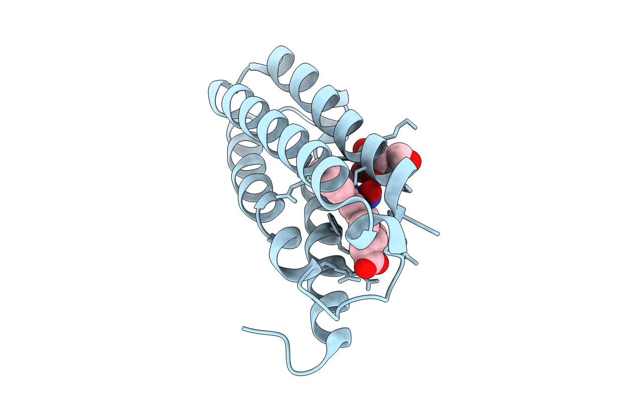 5JS5 image