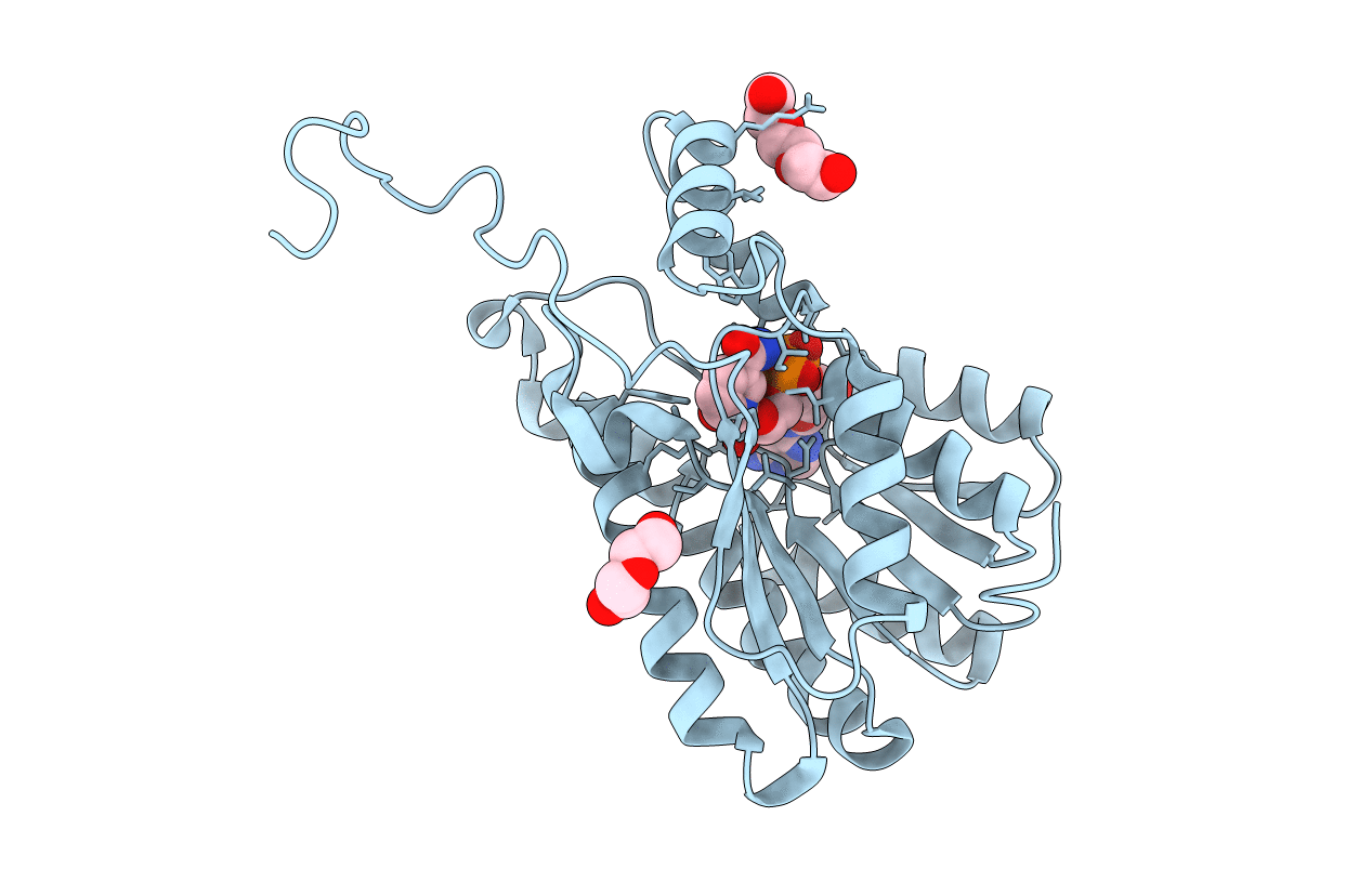 5JS6 image