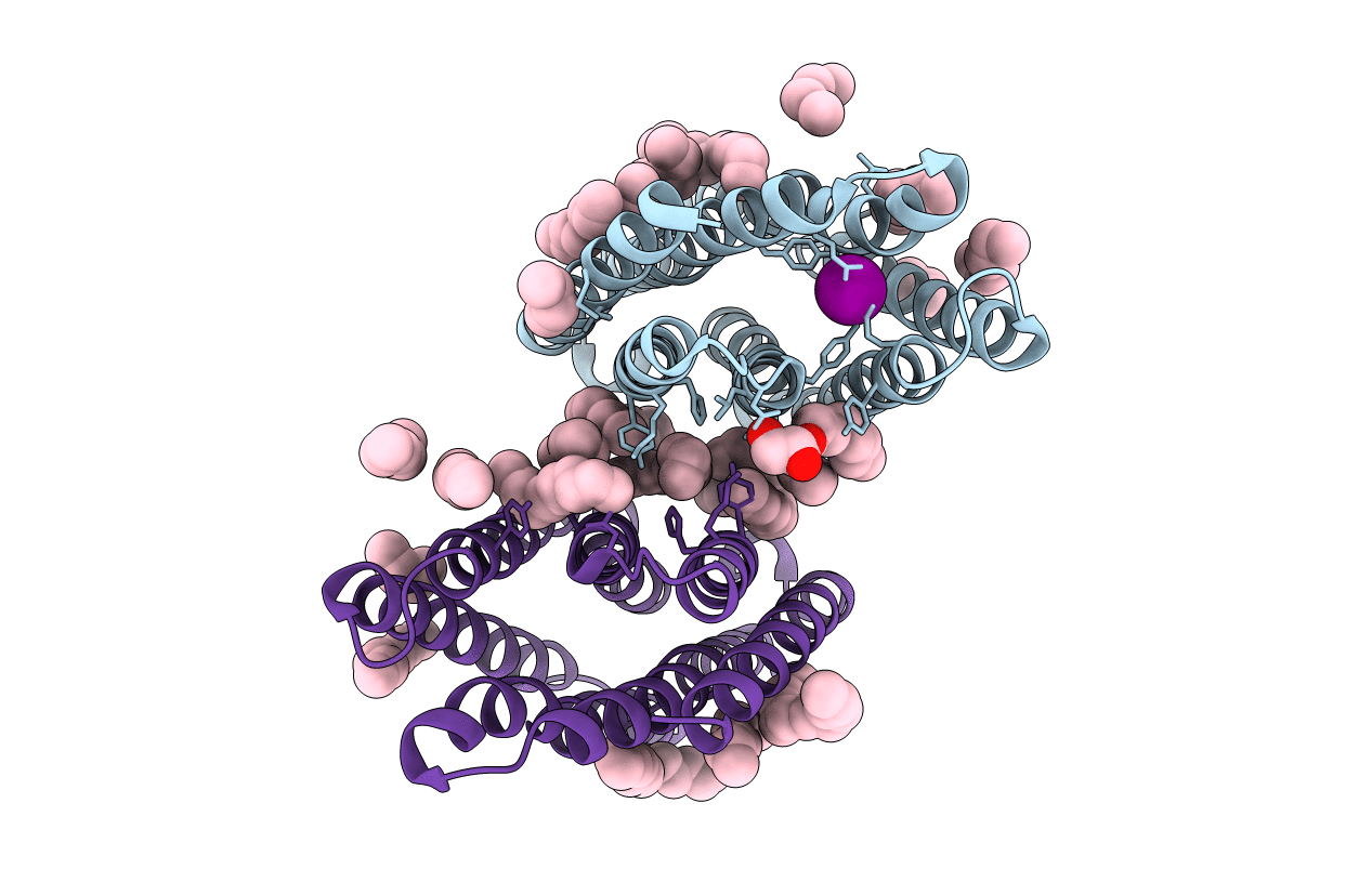 5JSI image