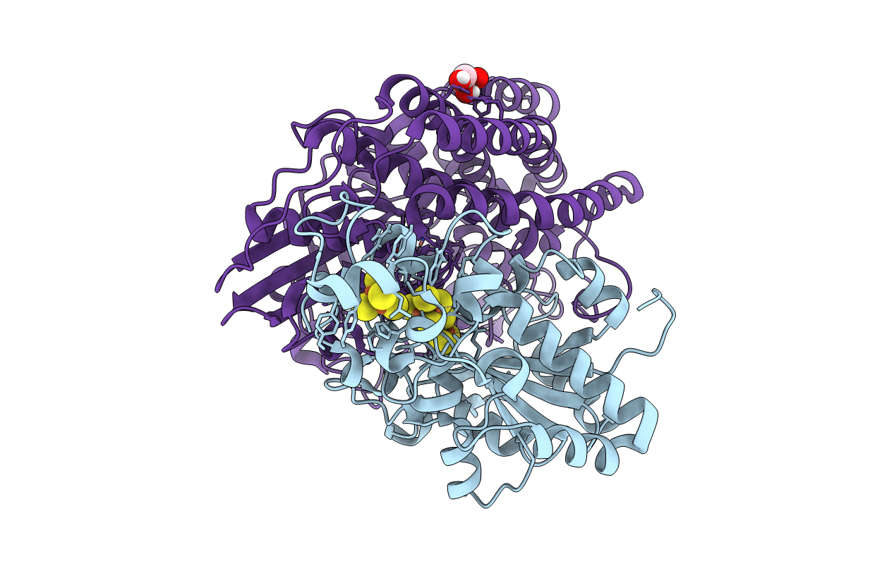 5JSK image