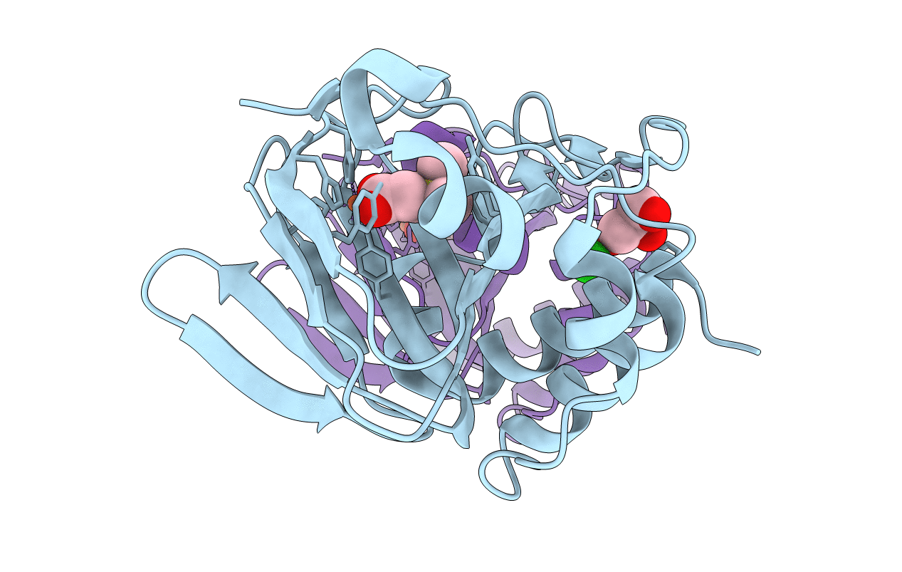 5JSP image