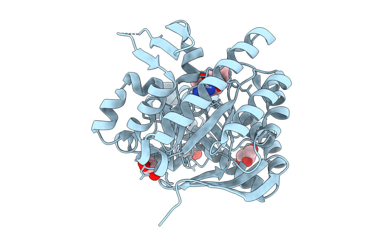 5JSV image