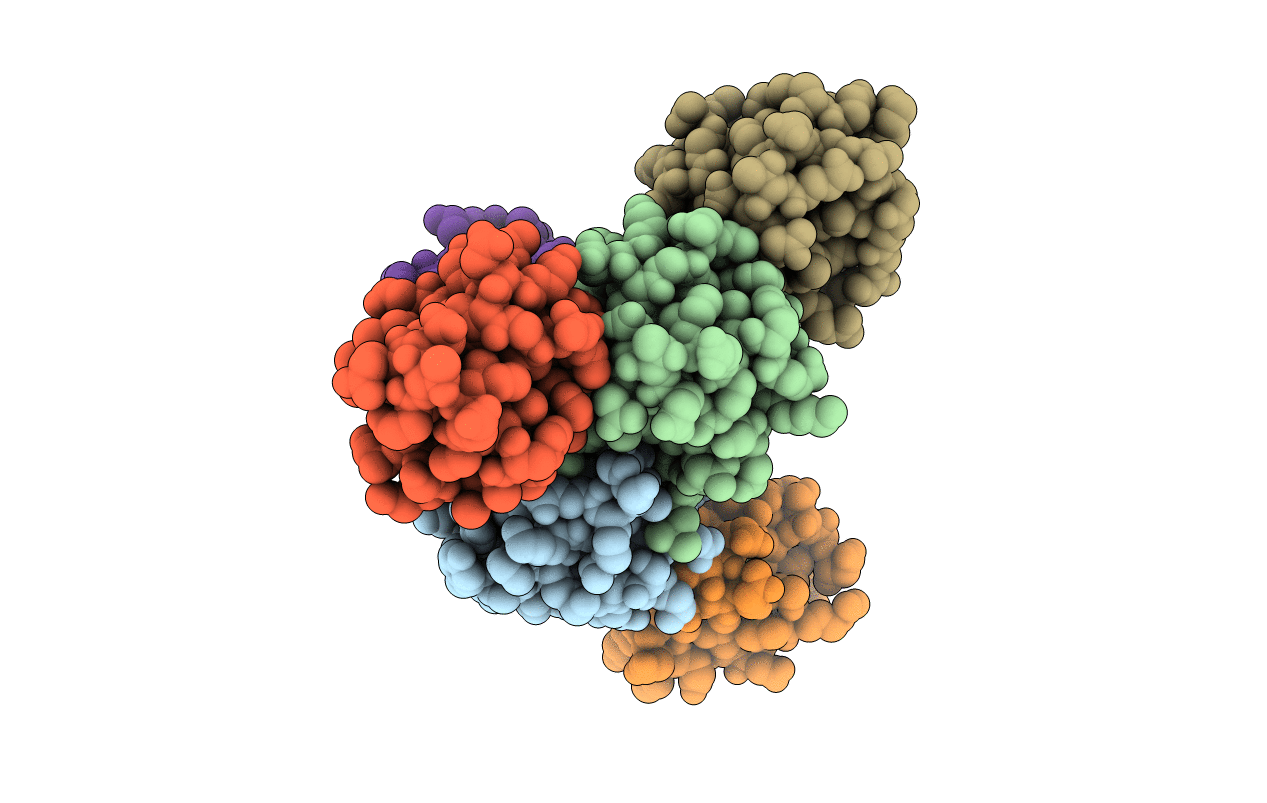 5JTI image