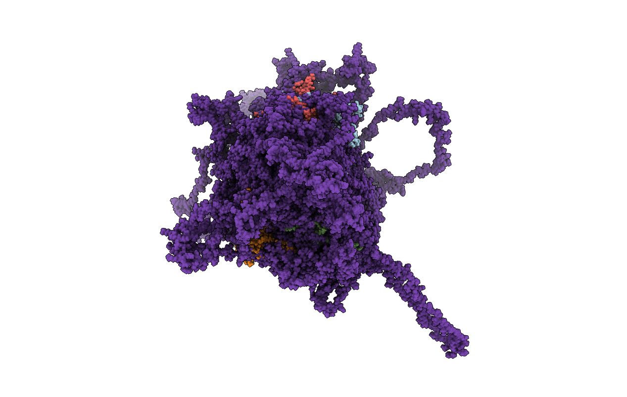 5JTL image