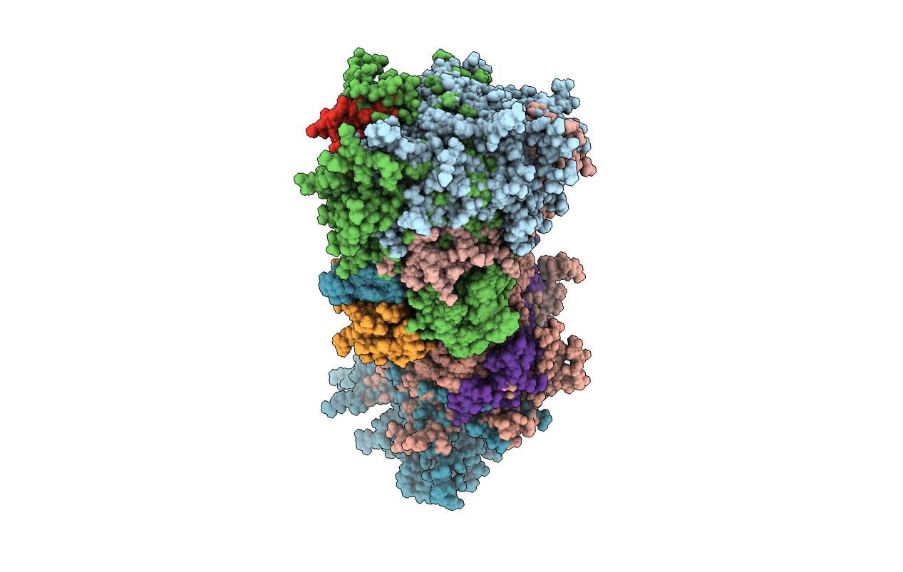 5JTM image