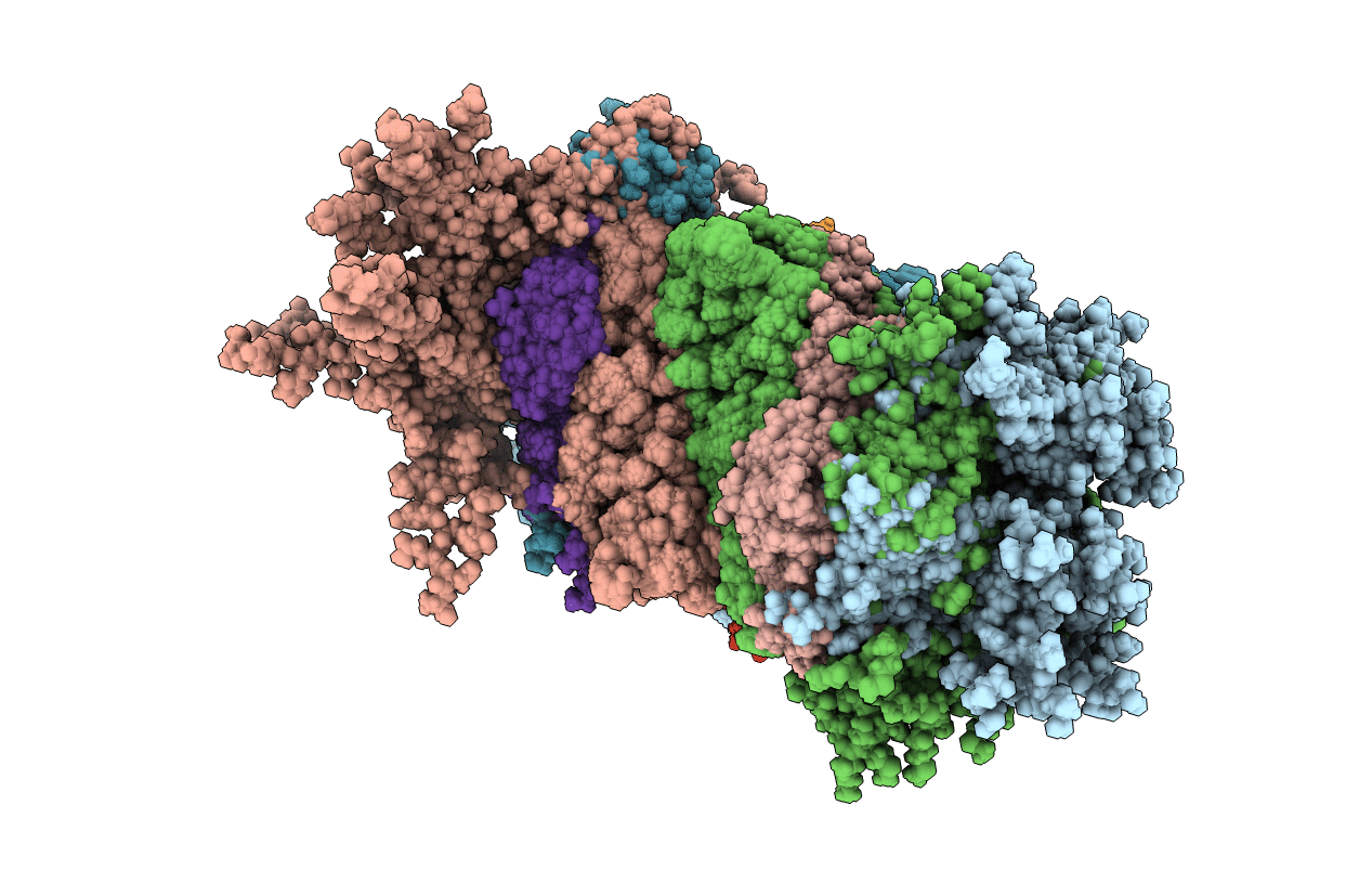 5JTP image
