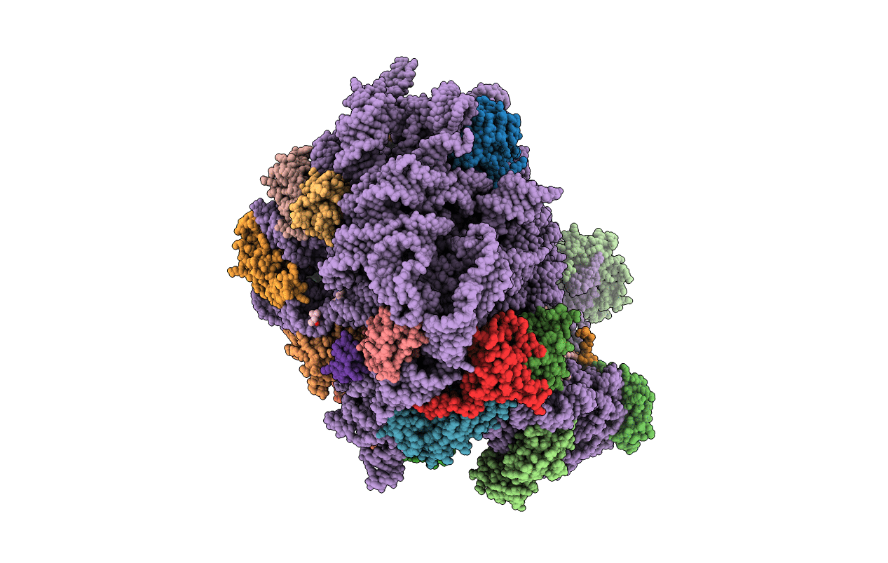 5JVG image