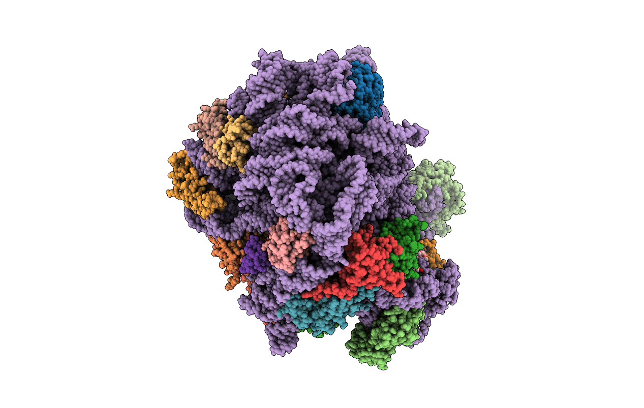 5JVH image
