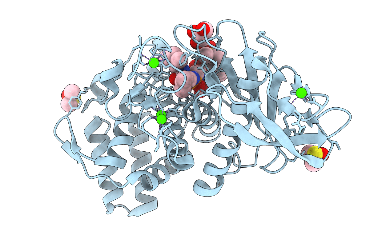 5JVI image