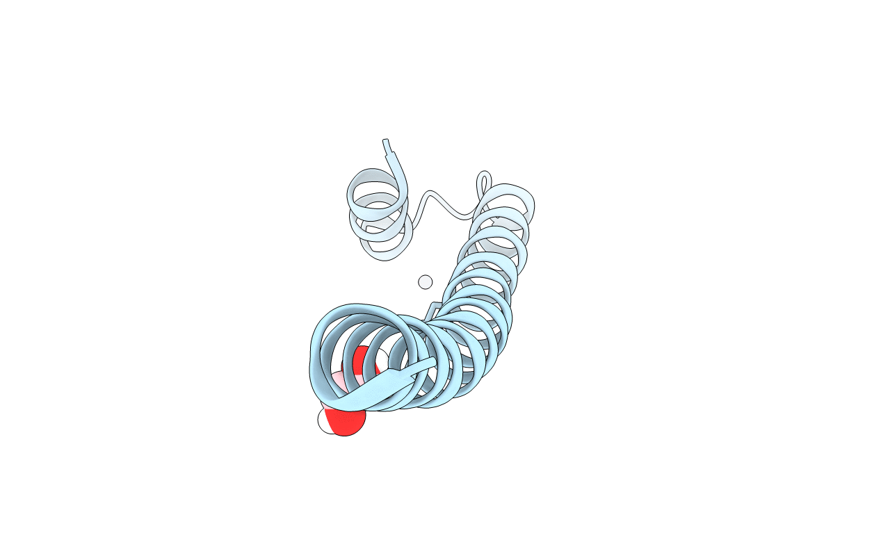 5JVS image