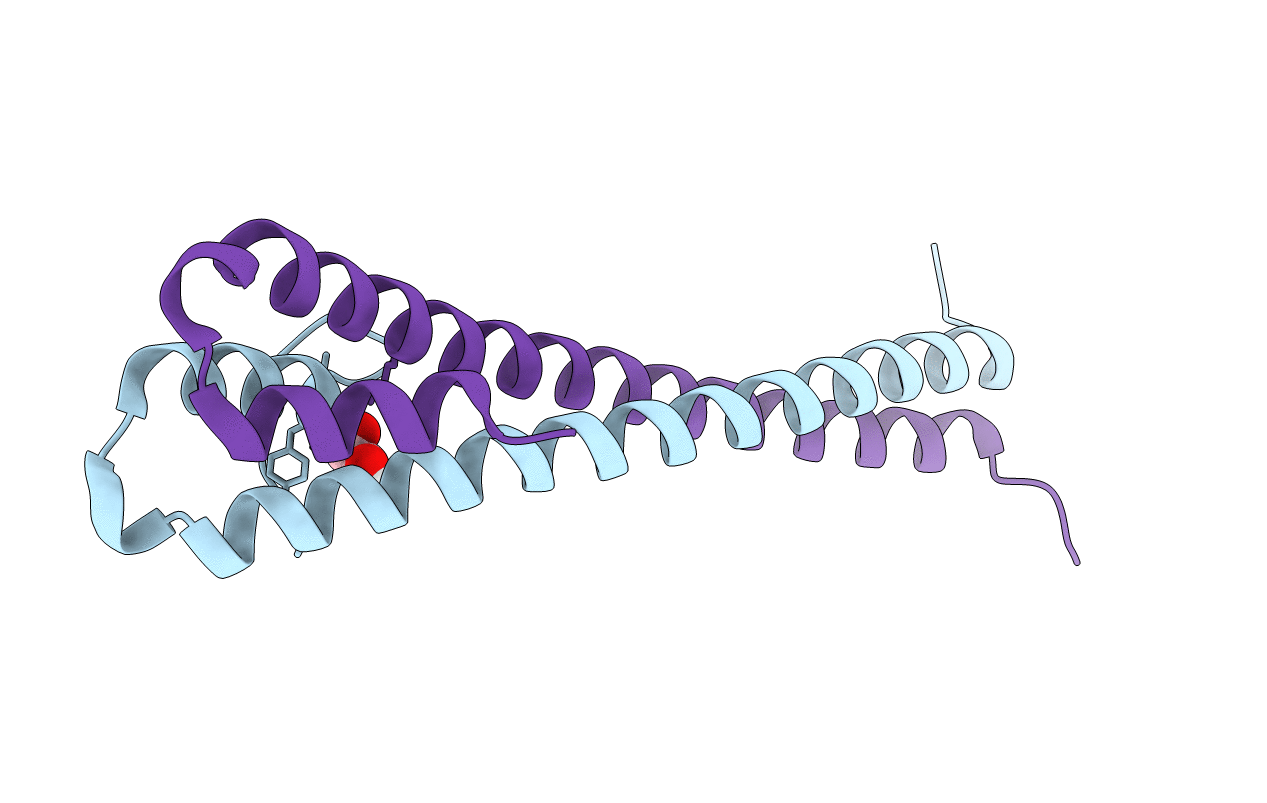 5JVU image